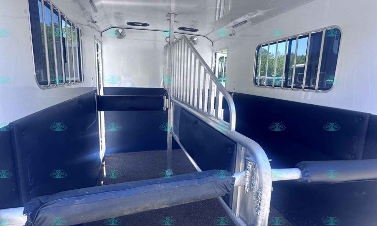 Interior of a white horse trailer with a central divider, blue padded walls, and metal rails dividing stalls, seen from the back ramp area.