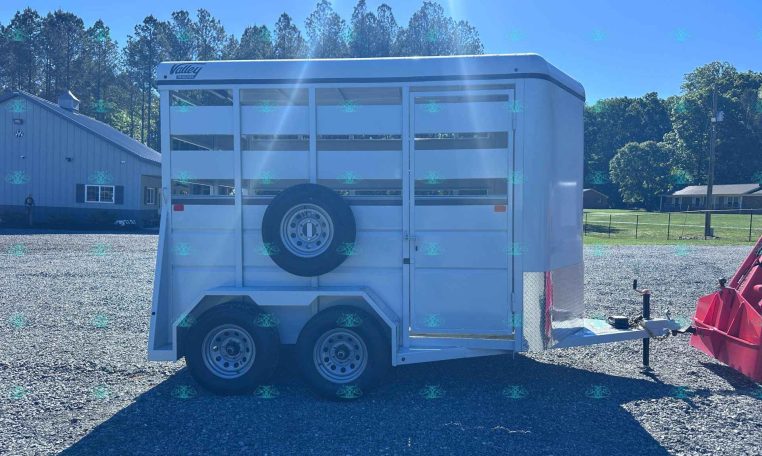 White horse trailer parked on a gravel lot with a spare tire mounted on its rear, blue sky and trees in the background, watermark CarolinaTrailersales.com.