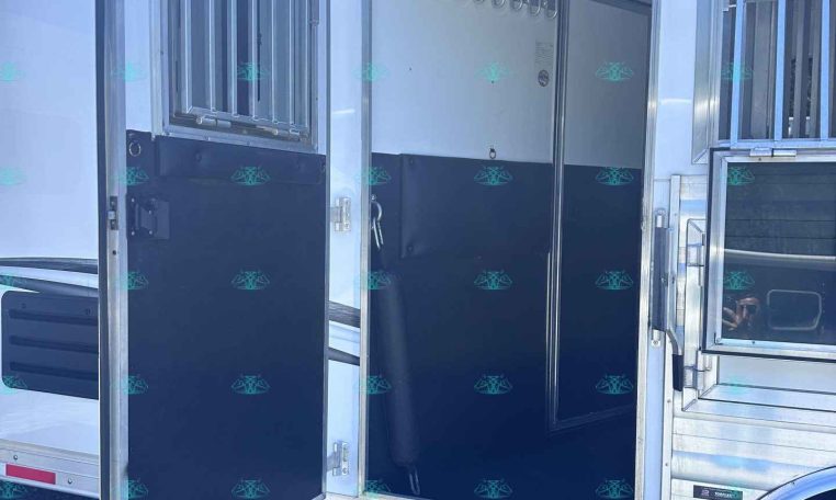 Open side of a white horse trailer with doors swung wide, showing interior partition and wall hooks for tack on a black lower wall edge.