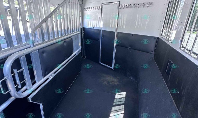 Interior of a white horse trailer showing two stalls with metal dividers, padded black walls, and a central doorway between stalls.