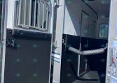 Open horse trailer with divider and side door, showing metal bars and padded stall area inside under clear blue sky