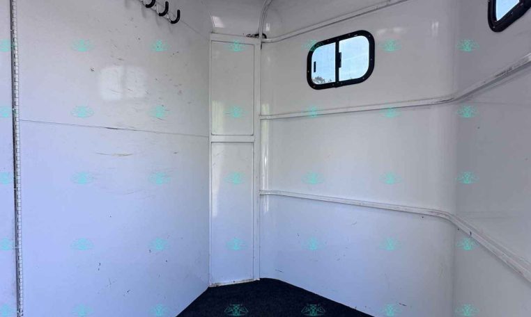 Interior of a white horse trailer with a row of hooks on the left wall, a small window on the right, and a ceiling skylight; dark carpeted floor.