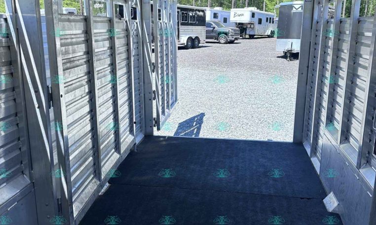 Inside a metal livestock trailer, view toward an open rear with several horse trailers and trucks in a gravel lot beyond.